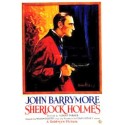 FILM A TELECHARGER – SHERLOCK HOLMES CONTRE MORIATY – HD MUET (CARTONS VOST)