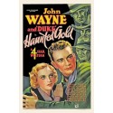 FILM A TELECHARGER – JOHN WAYNE – LE FANTOME - HD - VOST