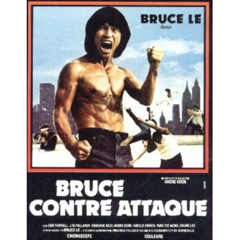 FILM A TELECHARGER – BRUCE CONTRE-ATTAQUE - HD – VF