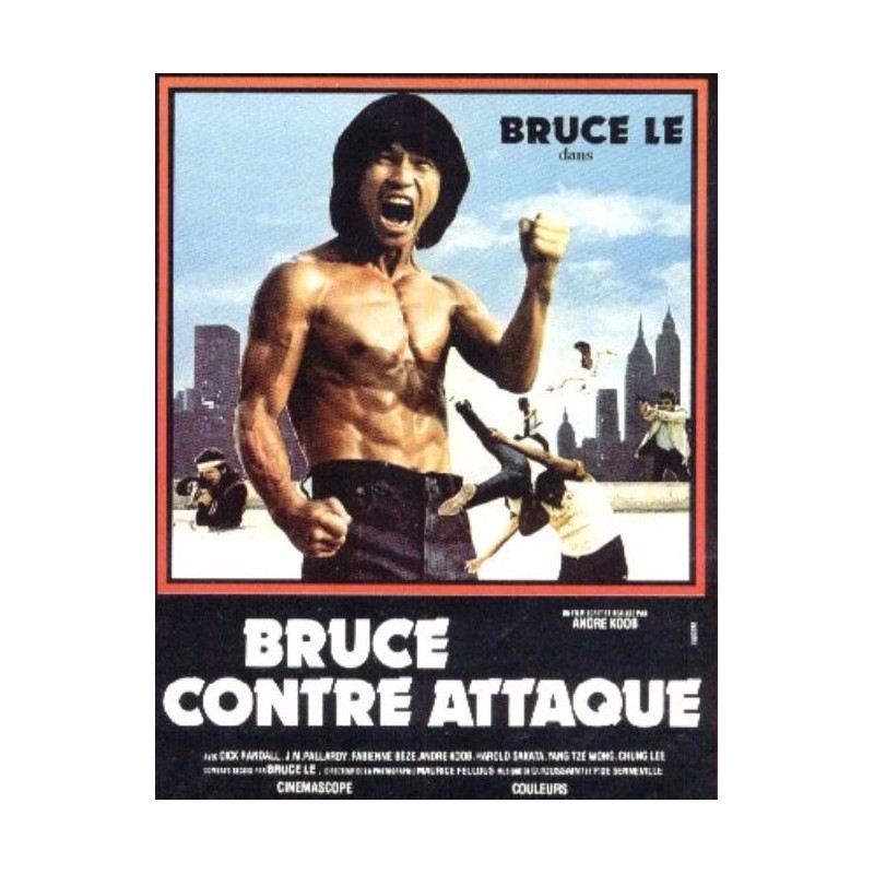 FILM A TELECHARGER – BRUCE CONTRE-ATTAQUE - HD – VF