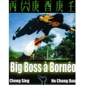 FILM A TELECHARGER – BIG BOSS A BORNEO - SD – VF