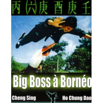 FILM A TELECHARGER – BIG BOSS A BORNEO - SD – VF