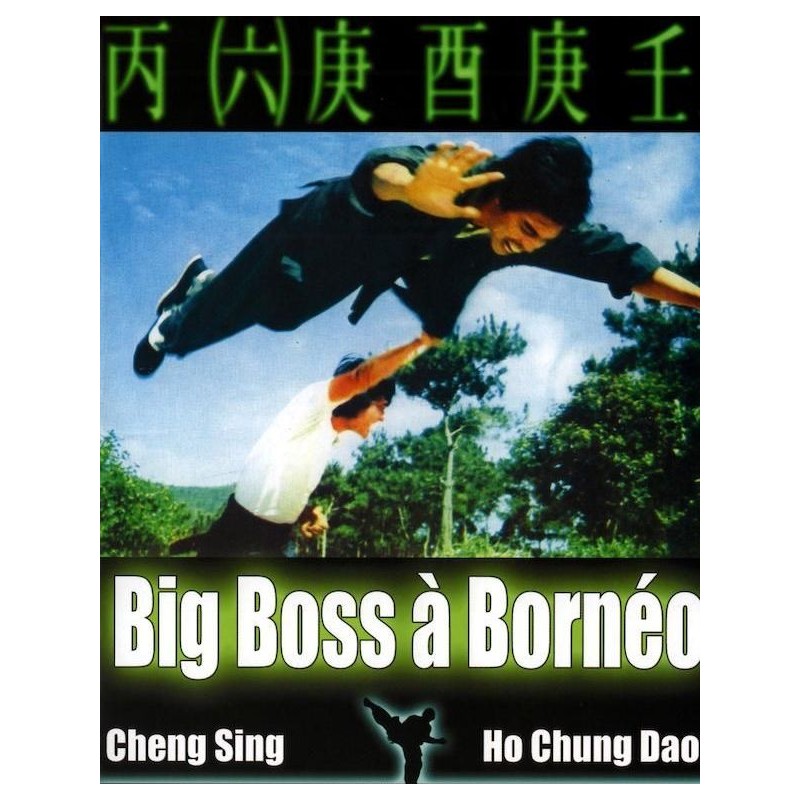 FILM A TELECHARGER – BIG BOSS A BORNEO - SD – VF